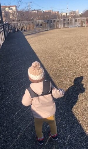 お散歩